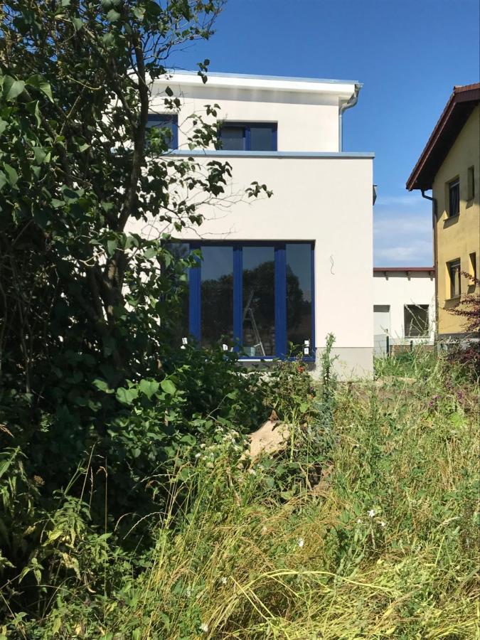 Apartamento Hof Uhleck Am Koenigsstuhl Lohme Exterior foto